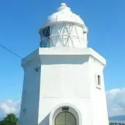 ピンクグレープフルーツの画像
