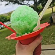 ミミの画像