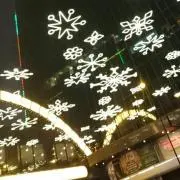 aimeeの画像