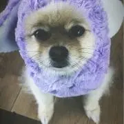 mαmeの画像