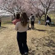 Chiiiの画像