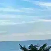 びんらむねの画像
