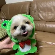 りんたろうの画像