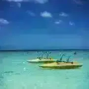即日or翌日発送 minaの画像