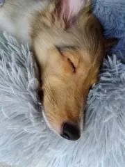 なめきちぃー☆の画像