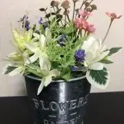 はたぴーの画像