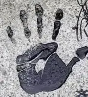 ワンダーの画像