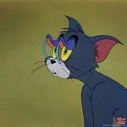 トムの画像