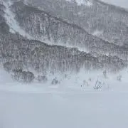 Ci-hp2の画像