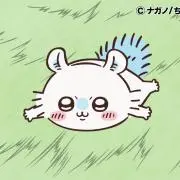 momの画像