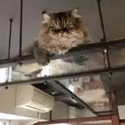 みや