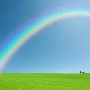 シャルルの画像