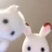 ゆの画像