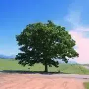 golf 即購入可