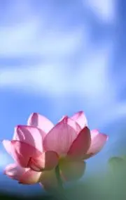 yuki.の画像