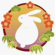 ⭐️きらきらうさぎ⭐️伝統文化を大切にの画像