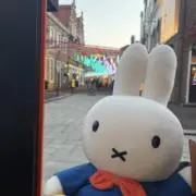 MYTの画像