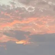 ゆゆの画像