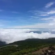 ライヴの画像