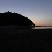 ぷーりんの画像