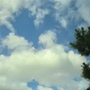 345の画像