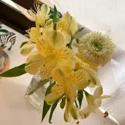 てこたの画像
