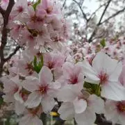 waka6の画像