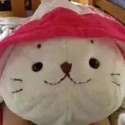 はるぴーのの画像