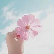 あり