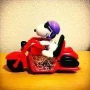 チャーリー♡