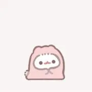 チンチラやんの画像