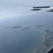 ちゃちゃの画像