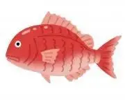 魚の画像