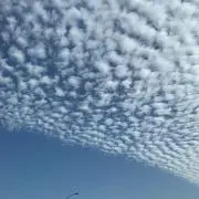 Jjjj★プロフご確認くださいの画像