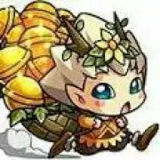 のらいぬの画像