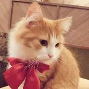 あき