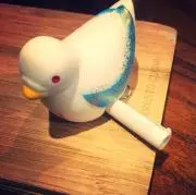 ことりの画像
