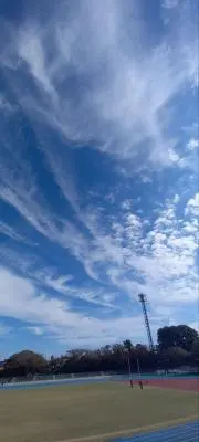 ゴルフ14の画像