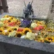 YUKIの画像