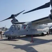 シャチモバイル先輩の画像