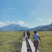 たらこの画像