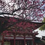 ゆうゆう