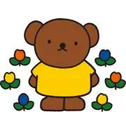 まりもの画像