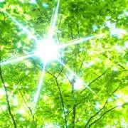 PONGOの画像