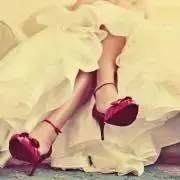 lilyの画像