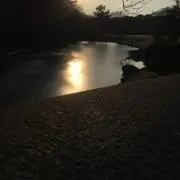 ゼマ