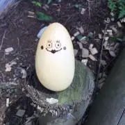 Image of なおまる
