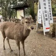 整理整頓中の画像