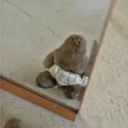 ⒿⅩⅥ→の画像