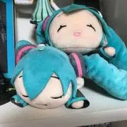 すけの画像